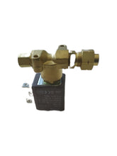 Load image into Gallery viewer, Air purge valve assy 220/230V 2V
